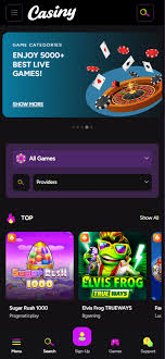 Casiny Casino Review - A Comprehensive Overview of Features and Services Casiny Casino Review - A Comprehensive Overview of Features and Services