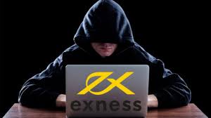 Discover the Potential of Trading with Exness webtrader
